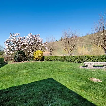 Apartment Hildegard Von Nell