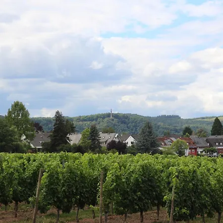 Hildegard Von Nell *