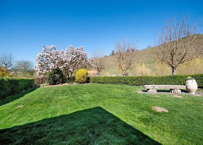 Διαμέρισμα Hildegard Von Nell