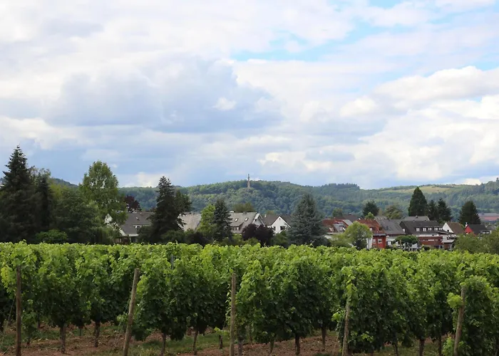 Hildegard Von Nell *